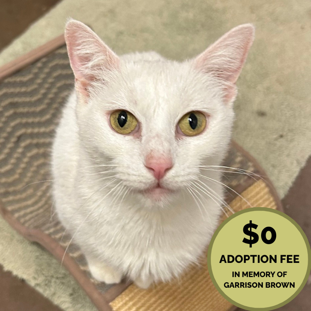 Robin - Sweet & Friendly