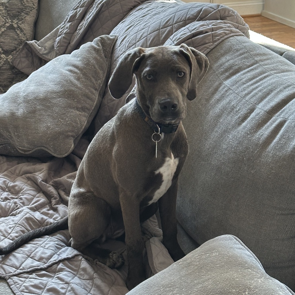 Pepper