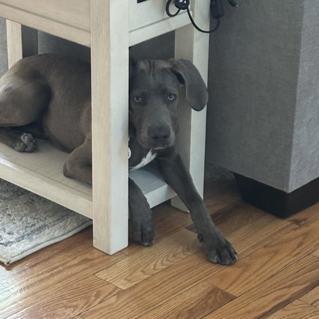 Pepper