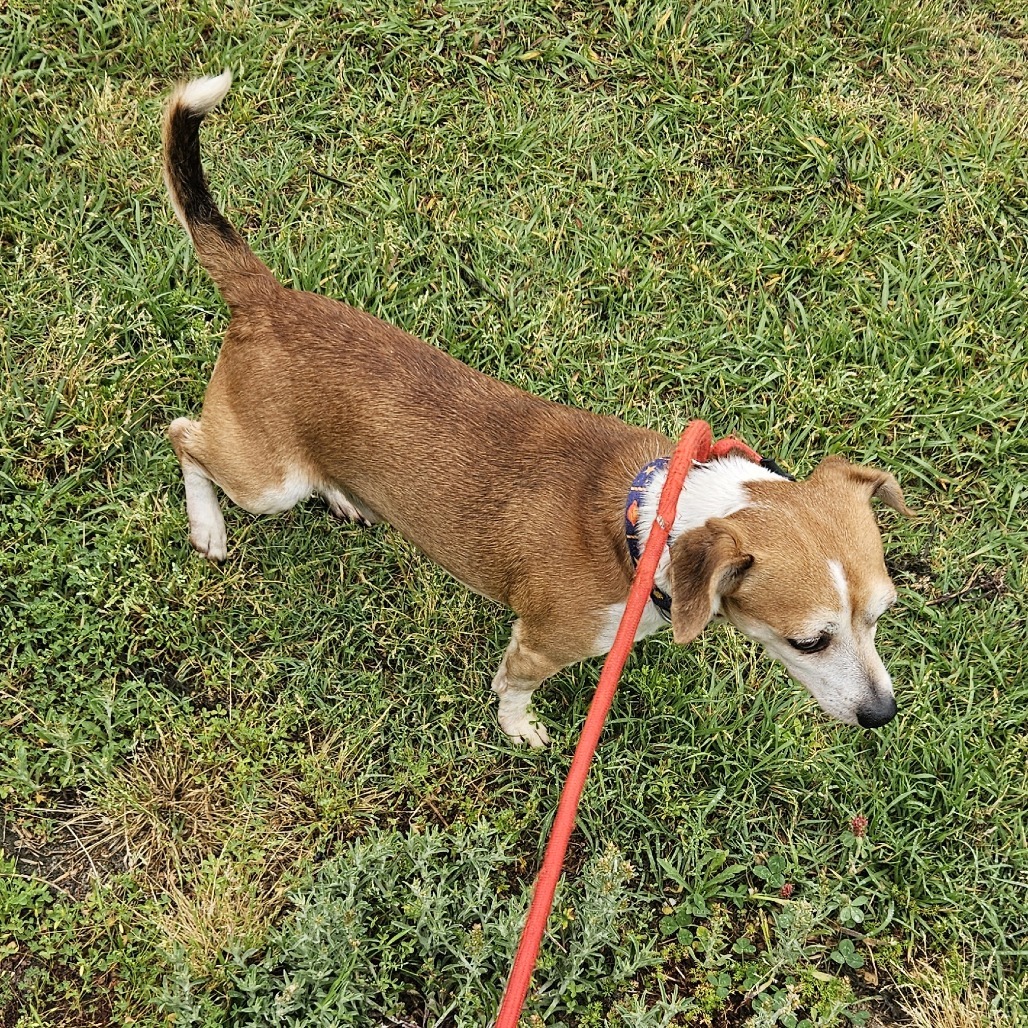 Buster