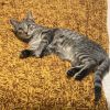 Tom - Home to Home photo 1