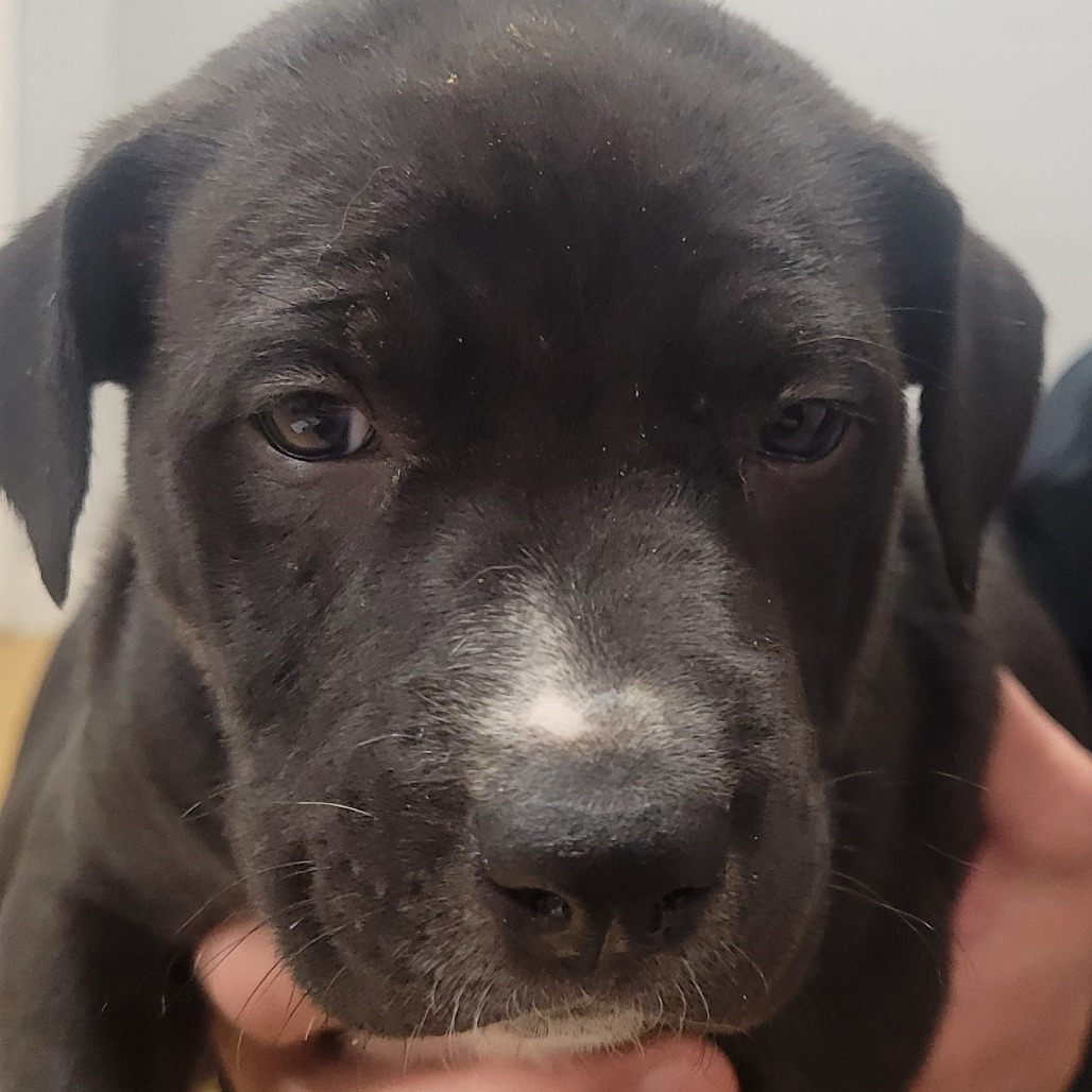 Mr. Wrinkles