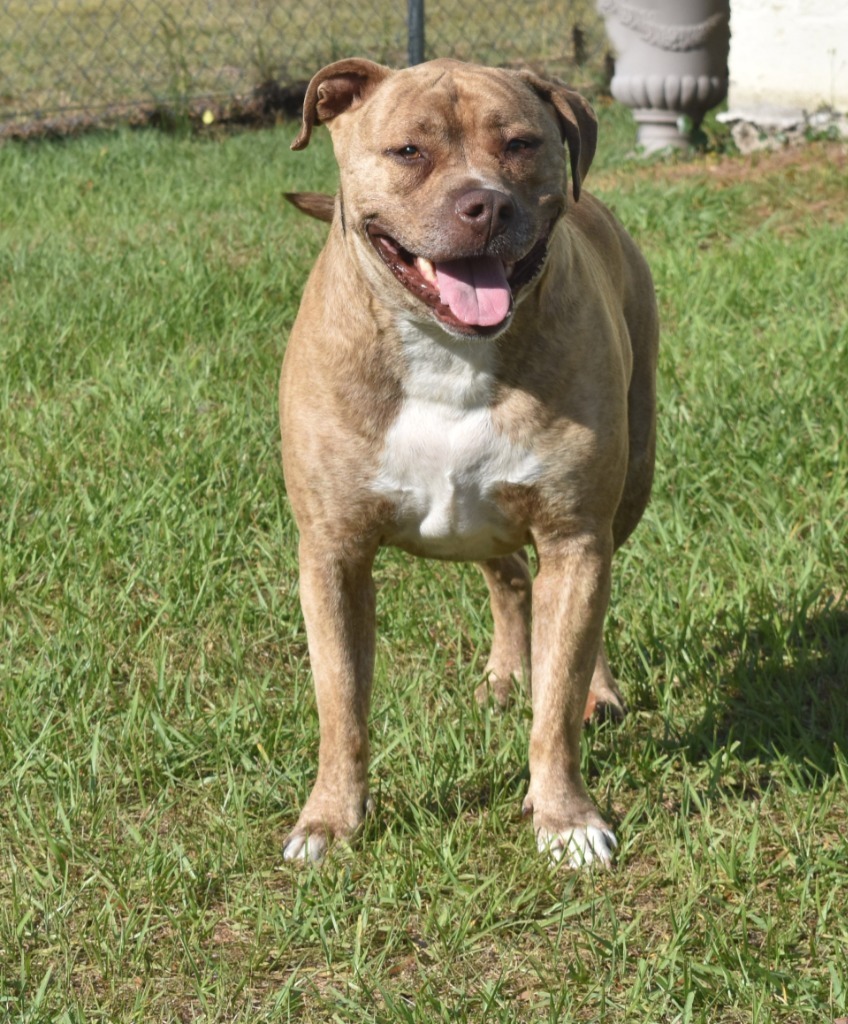 Tyson