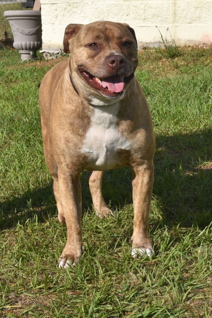 Tyson