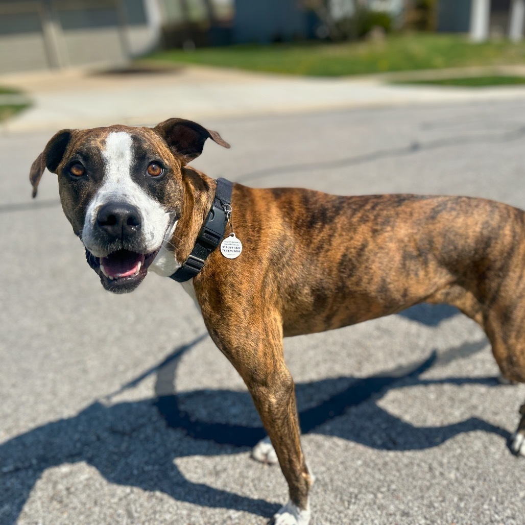 Ajax