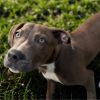 Bagel 7141 photo 1