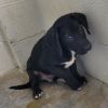 Bagel 7141 photo 2