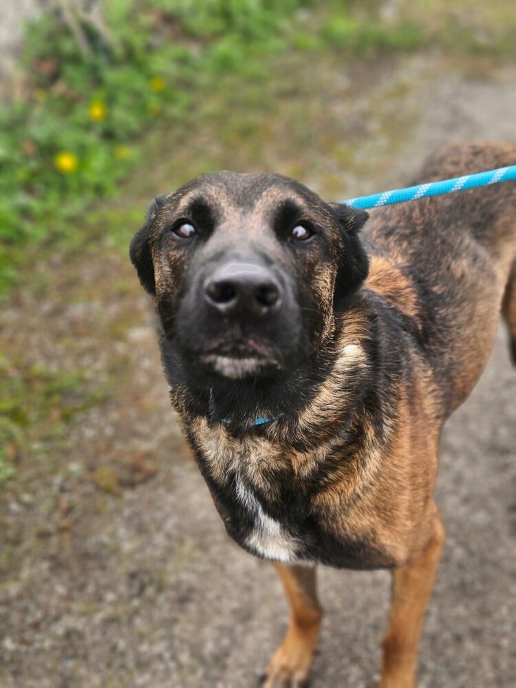 Luke - located in MN
