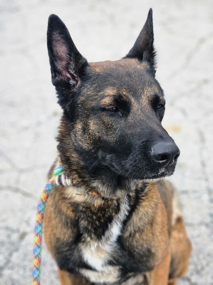 Luke - located in MN