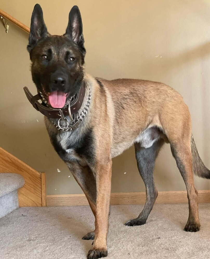 Luke - located in MN