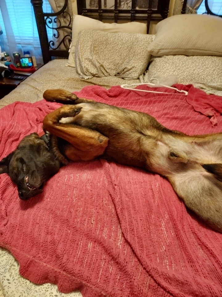 Luke - located in MN