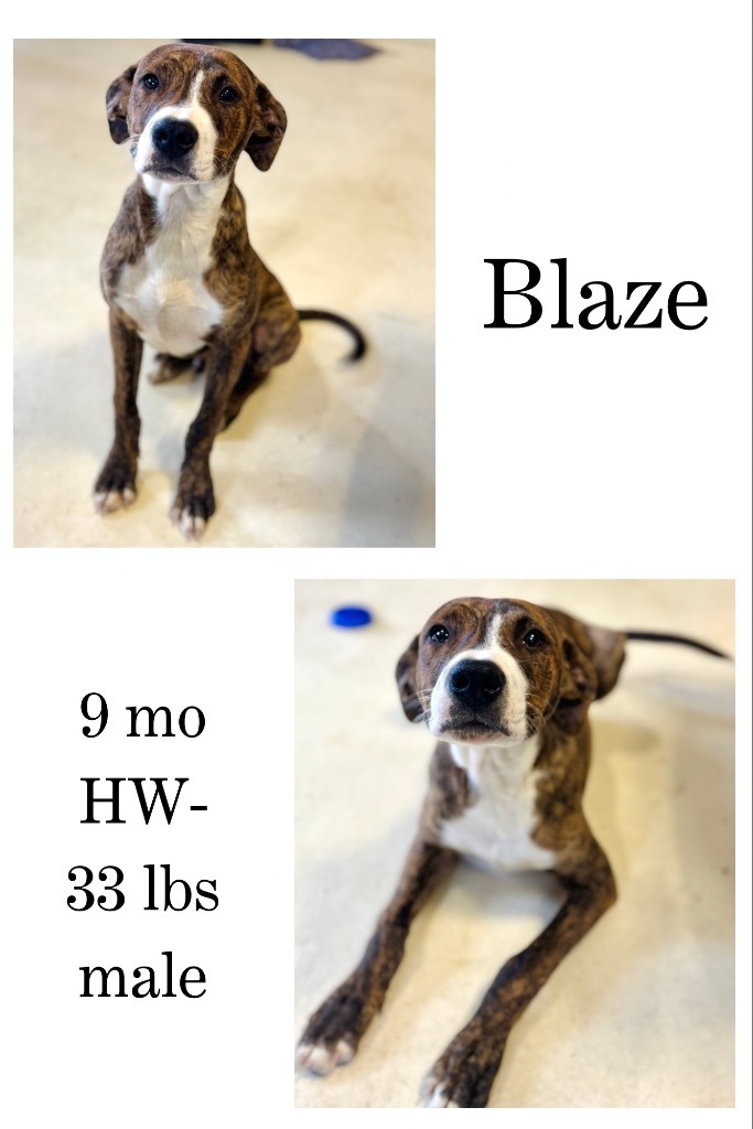 Blaze