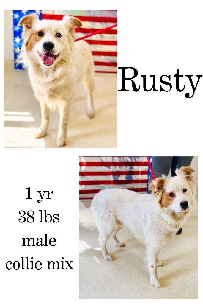 Rusty (Manhatten)