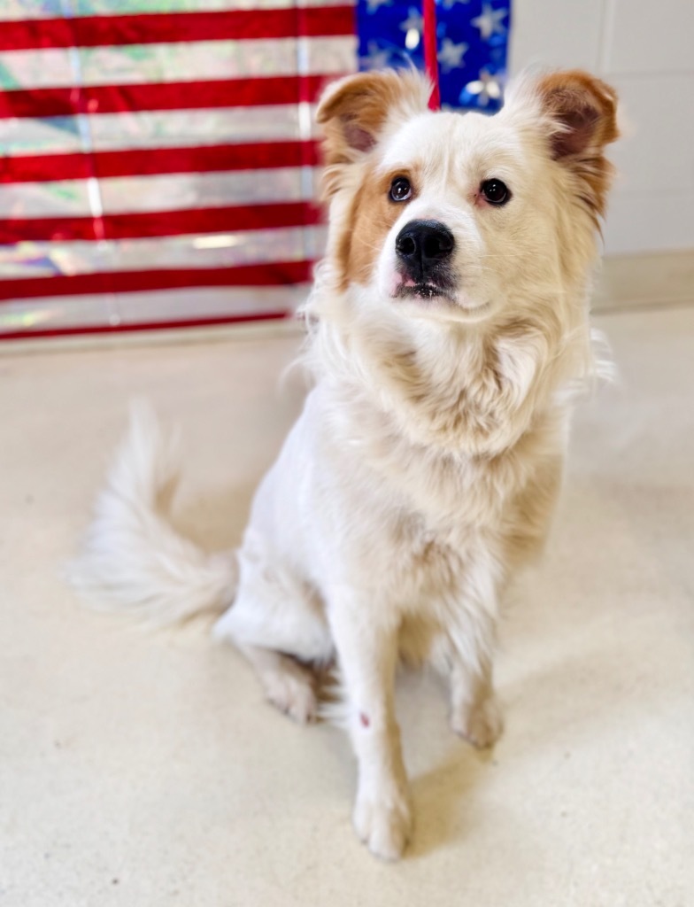 Rusty (Manhatten)