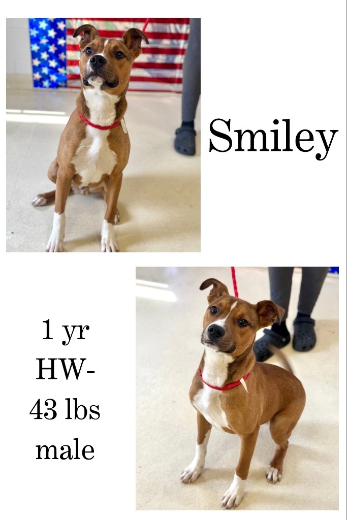 Smiley