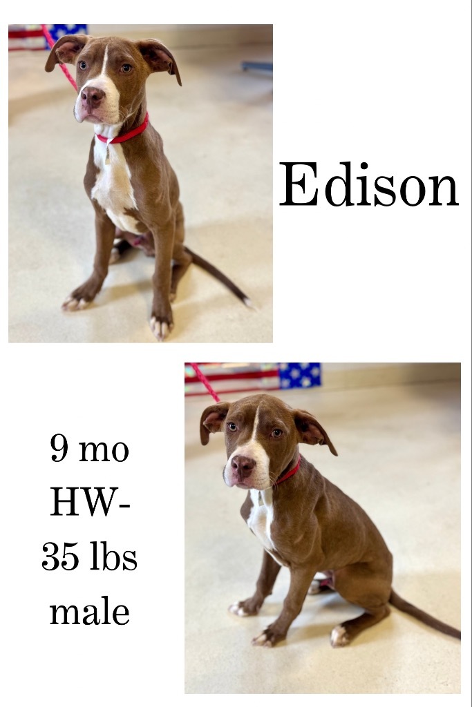 Edison