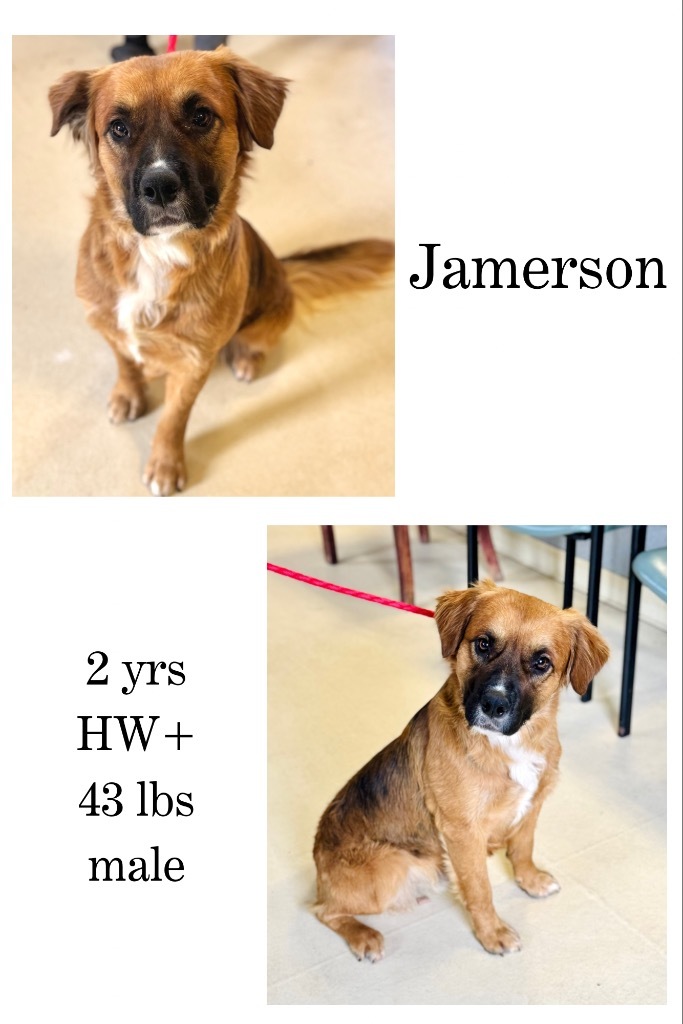 Jamerson