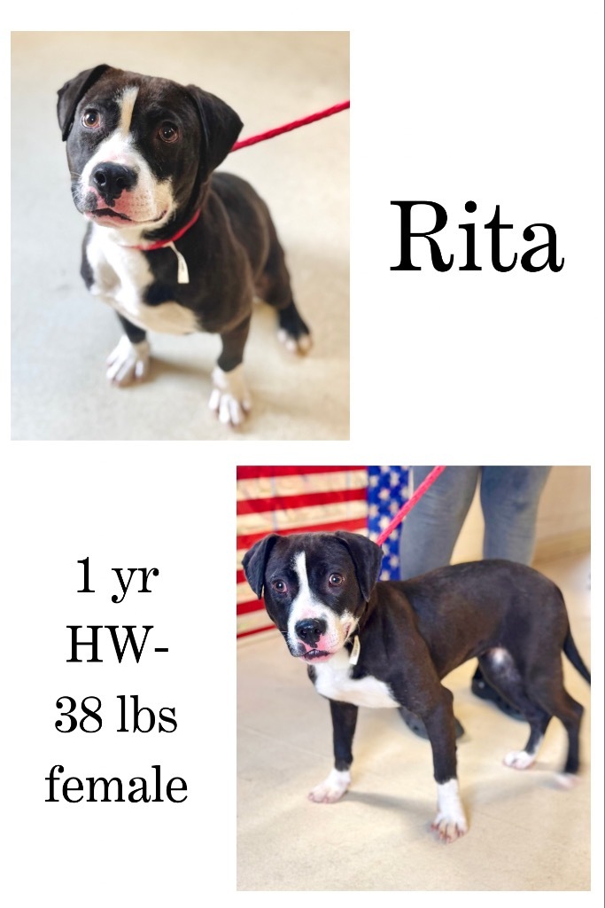 Rita