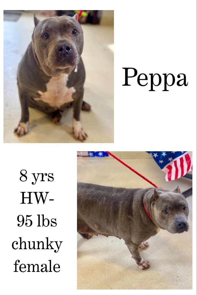 Peppa(Eugenia)