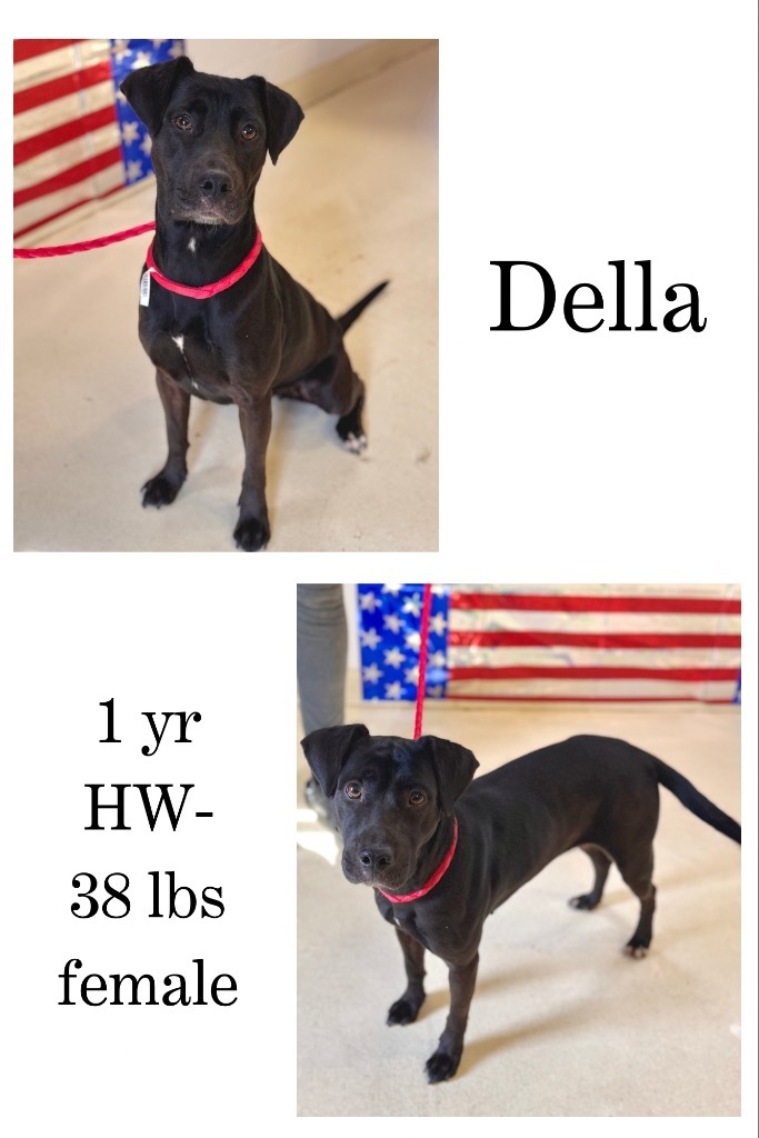 Della