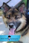 Bert photo 1