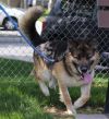 Bert photo 2