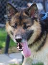 Bert photo 3