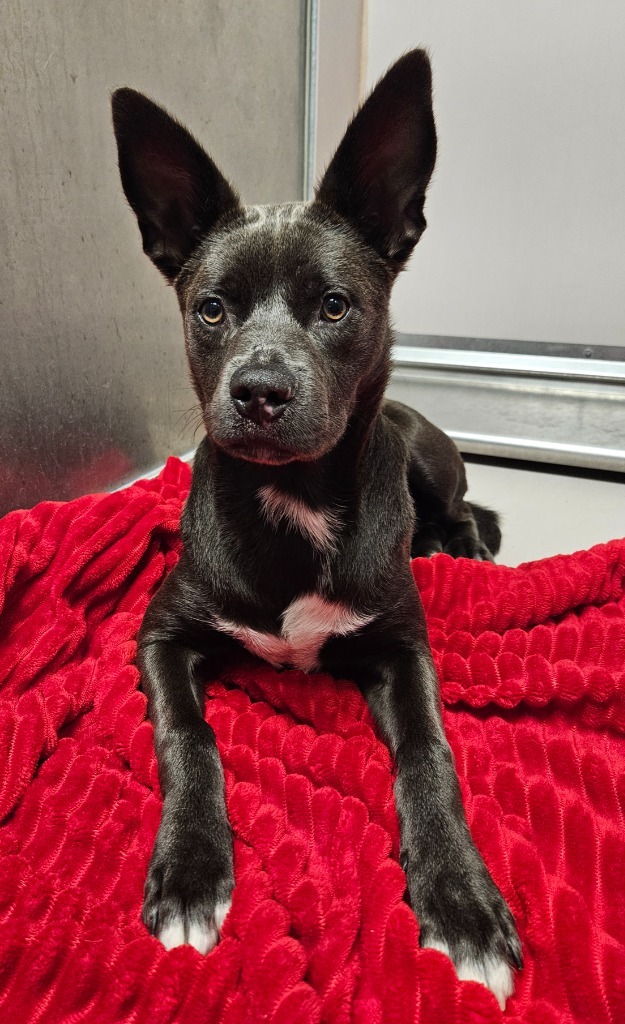 Maggie