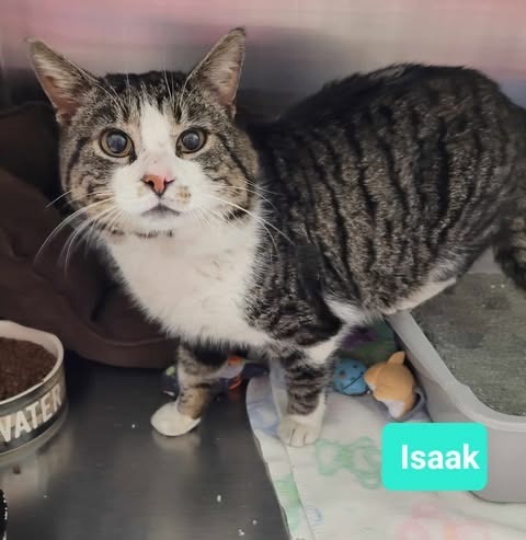 Isaak