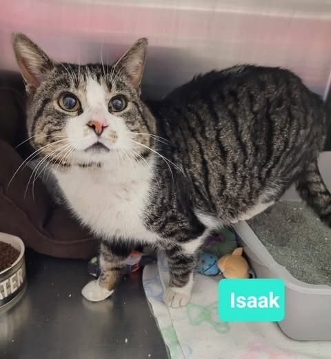 Isaak