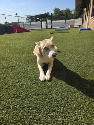 Freya