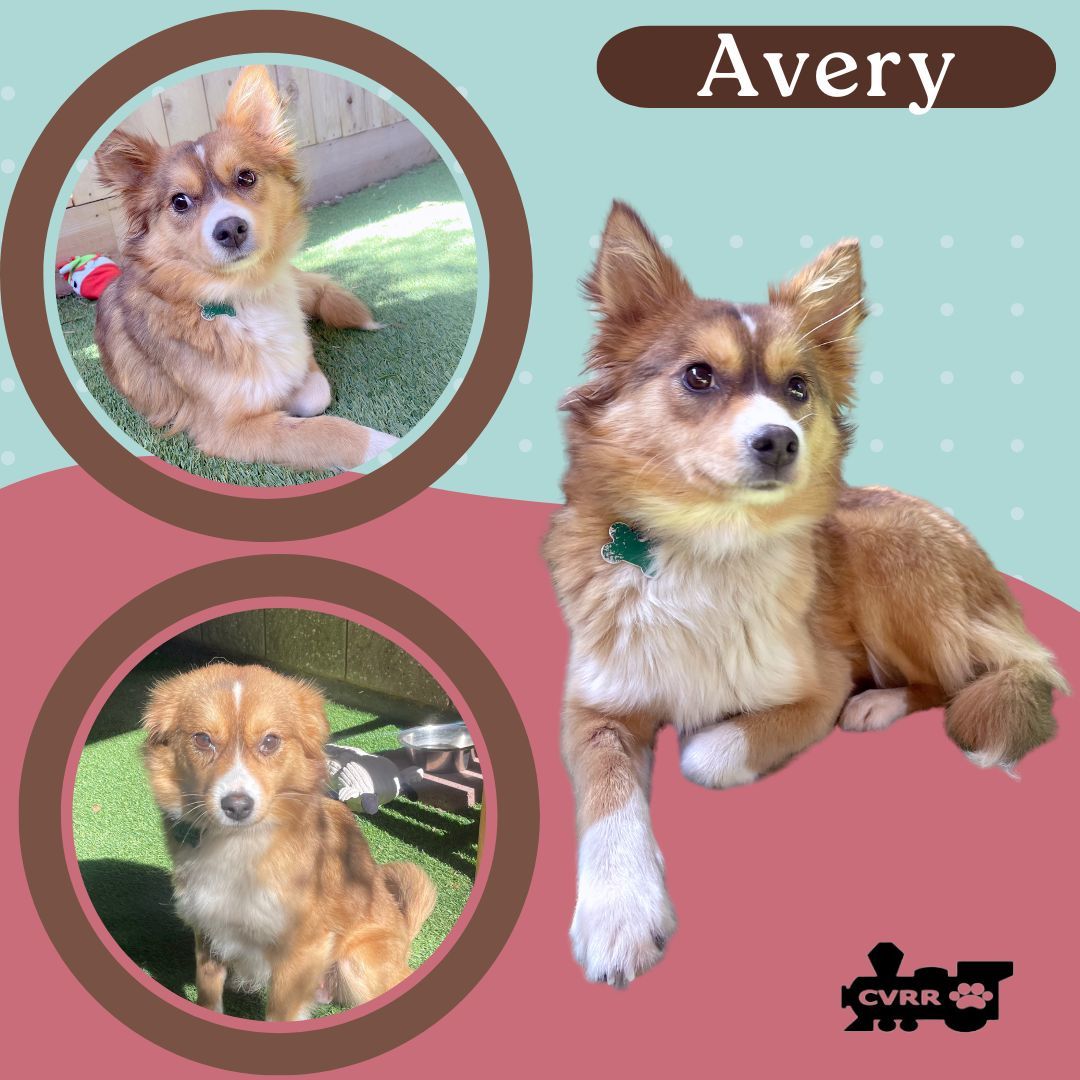 Avery