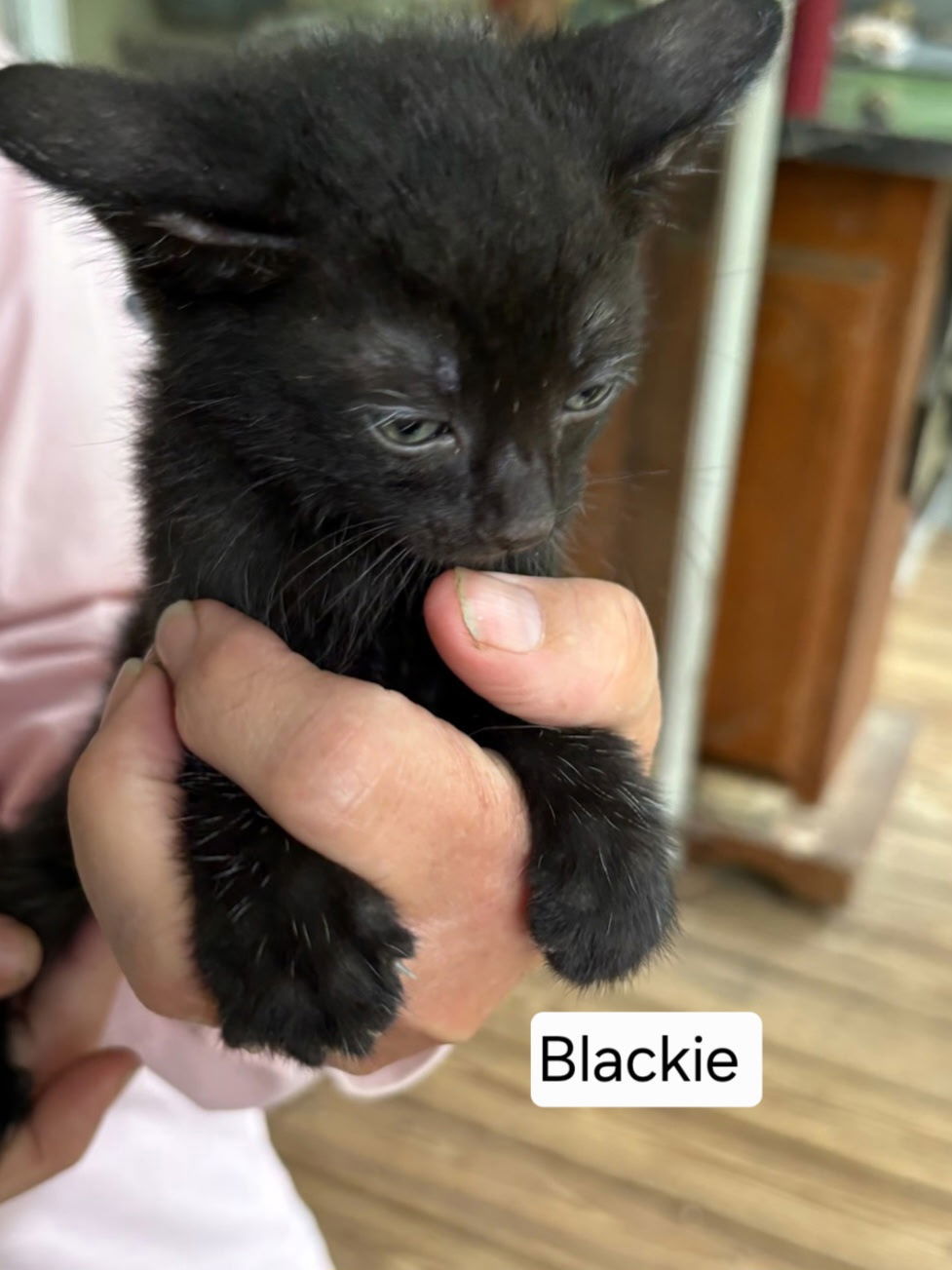 Batman AKA Blackie C Ellison