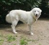 Sadie (2) photo 1