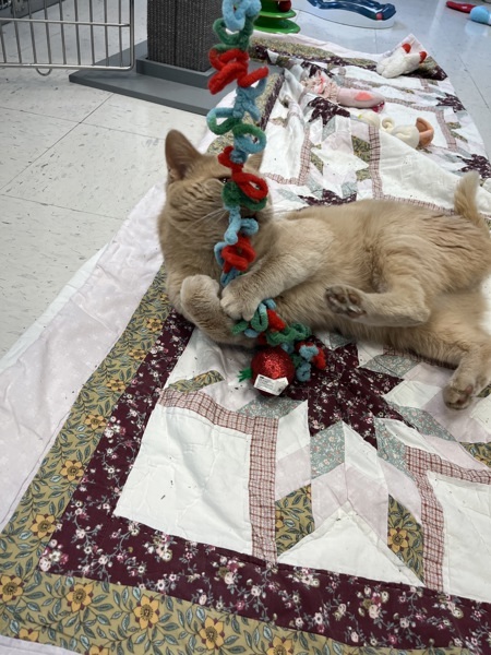 Ralphie