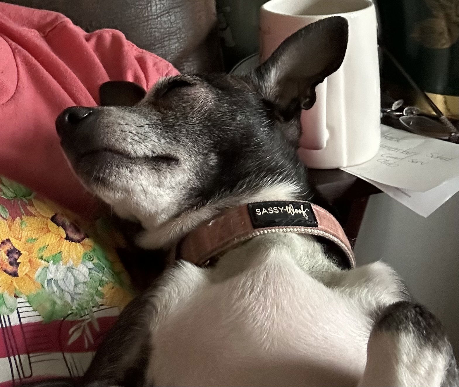 Maizey Mae