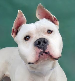 A5695010 Say hello to Ocean  whos as sweet and delightful as a fresh sea breeze This stunning 3-