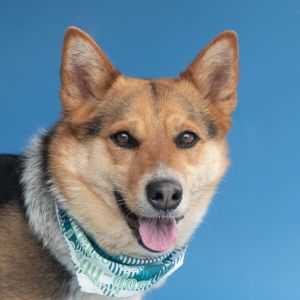 A5693676 Deena is a playful girl with an adventurous spirit Deena looks like sh