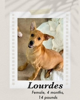 Lourdes
