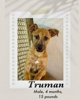 Truman