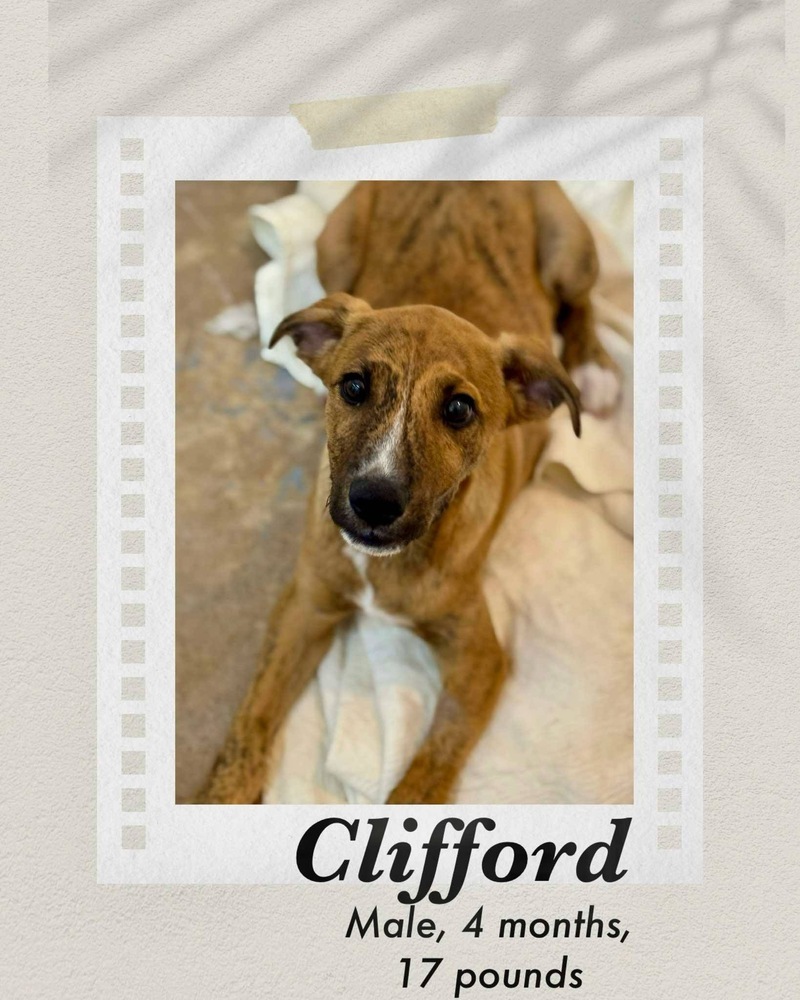Clifford
