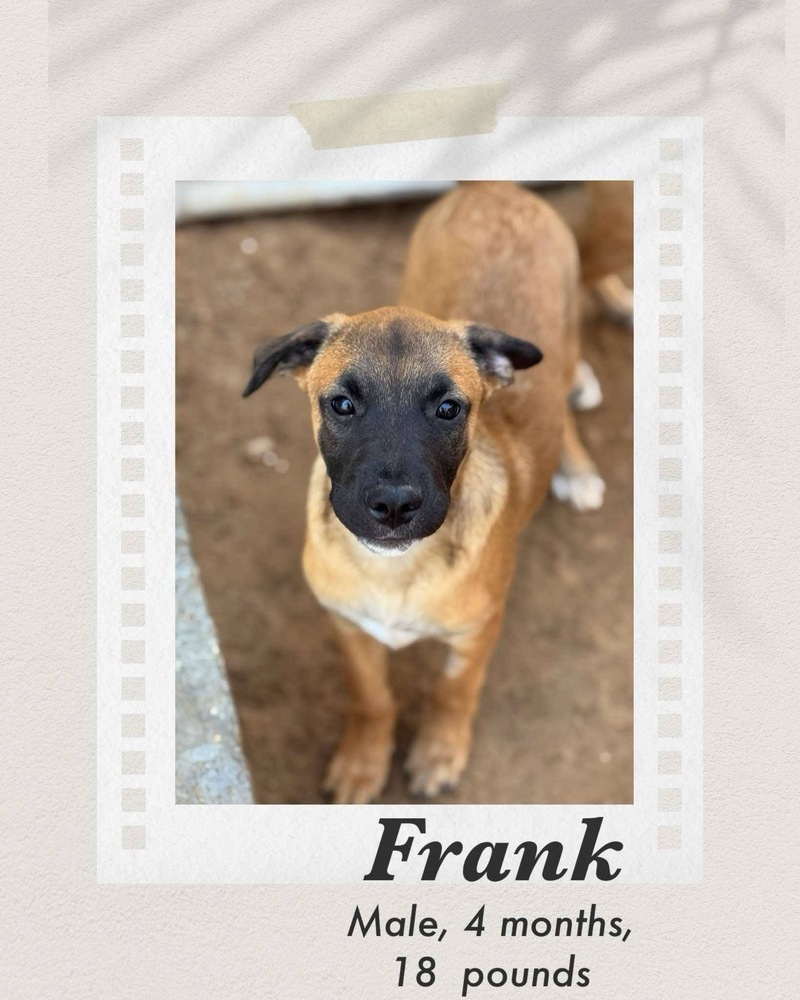 Frank