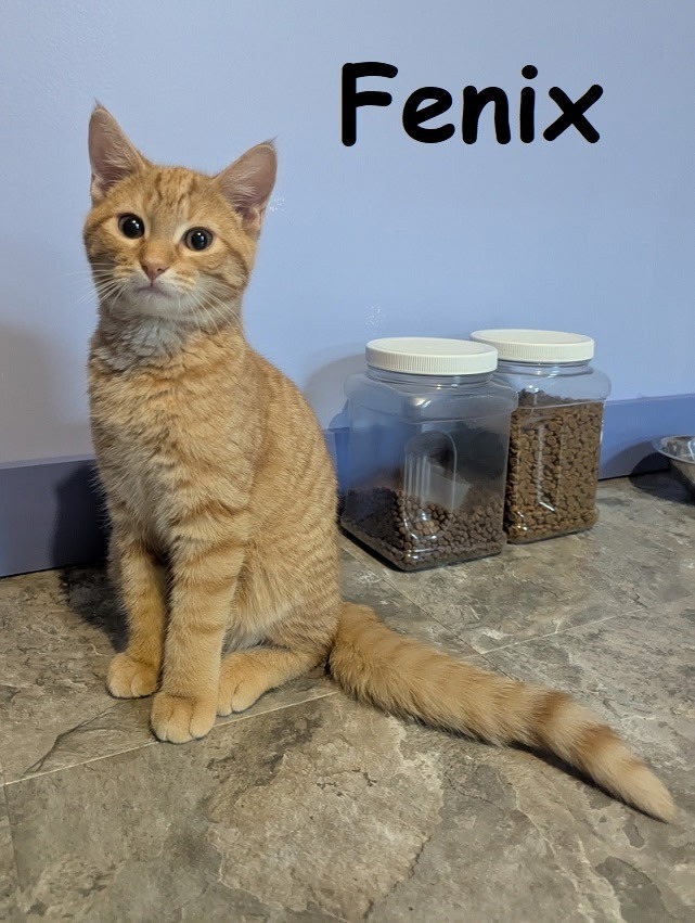 FENIX
