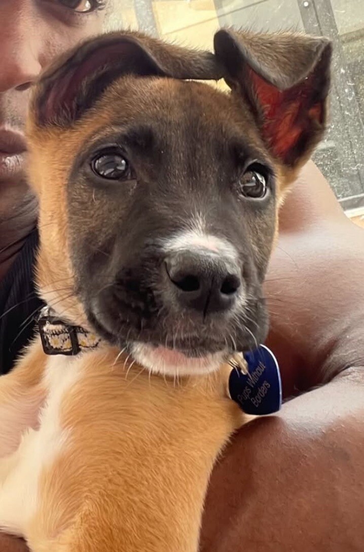 Zion