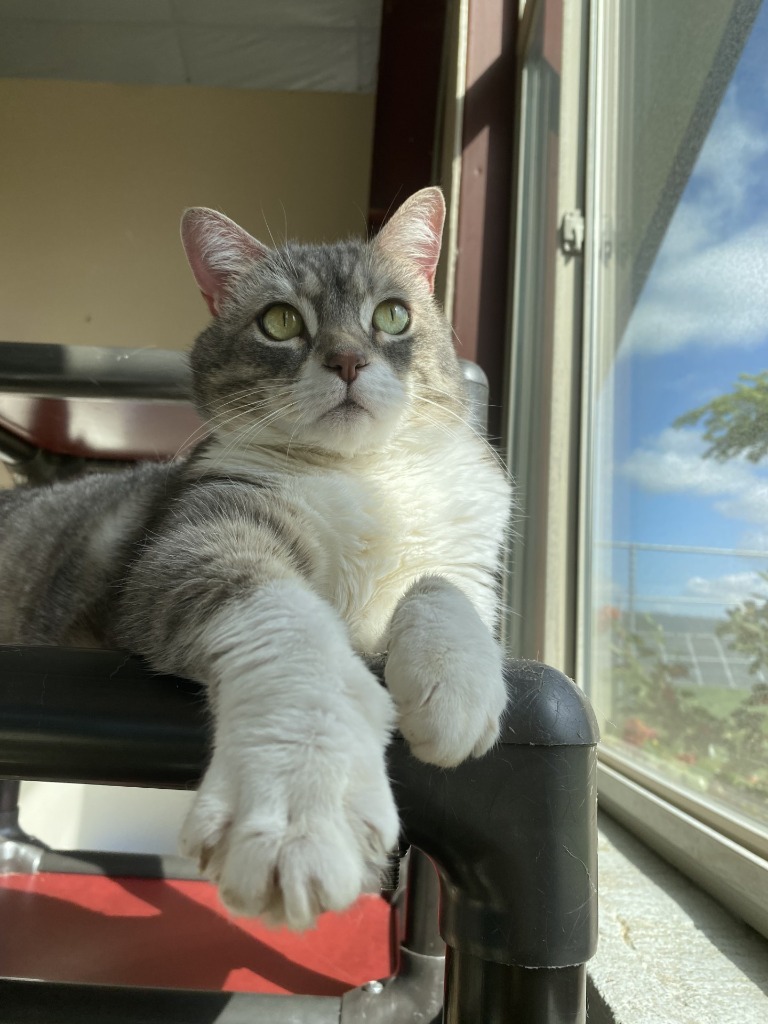Luna