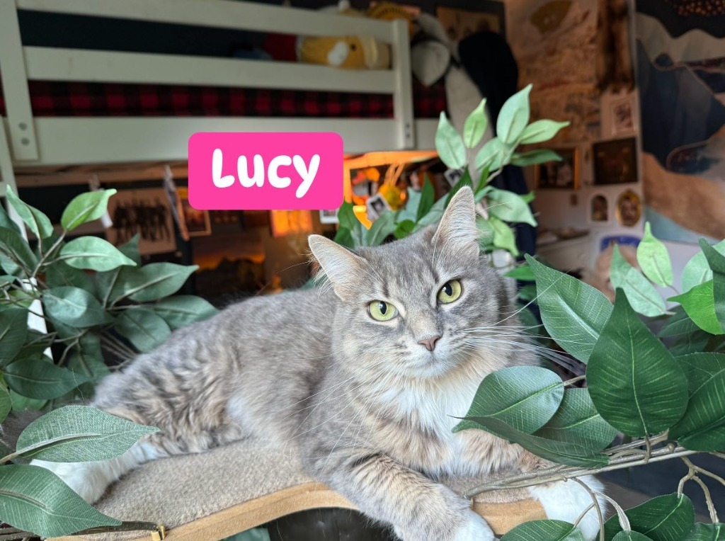 Lucy