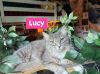 Lucy photo 1