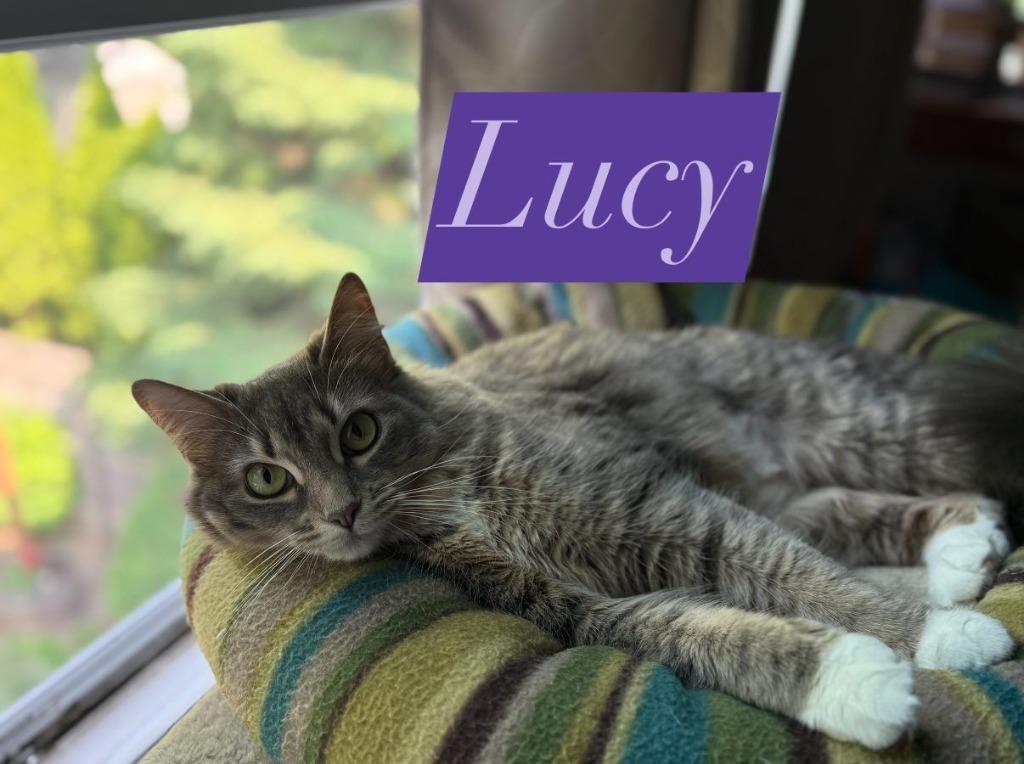 Lucy
