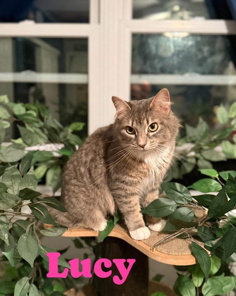 Lucy