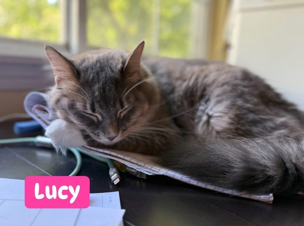 Lucy